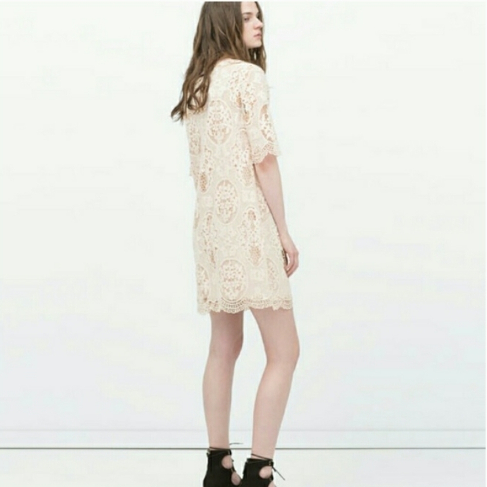 Zara Nude Pink Lace Dress - Picture 4 of 14